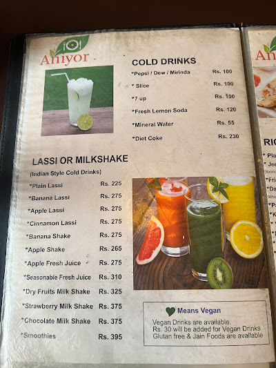 ANIYOR VEG & VEGAN RESTAURANT_menu_15