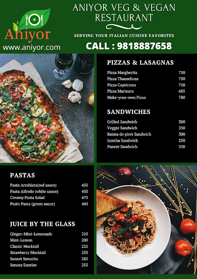 ANIYOR VEG & VEGAN RESTAURANT_menu_13