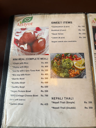 ANIYOR VEG & VEGAN RESTAURANT_menu_16