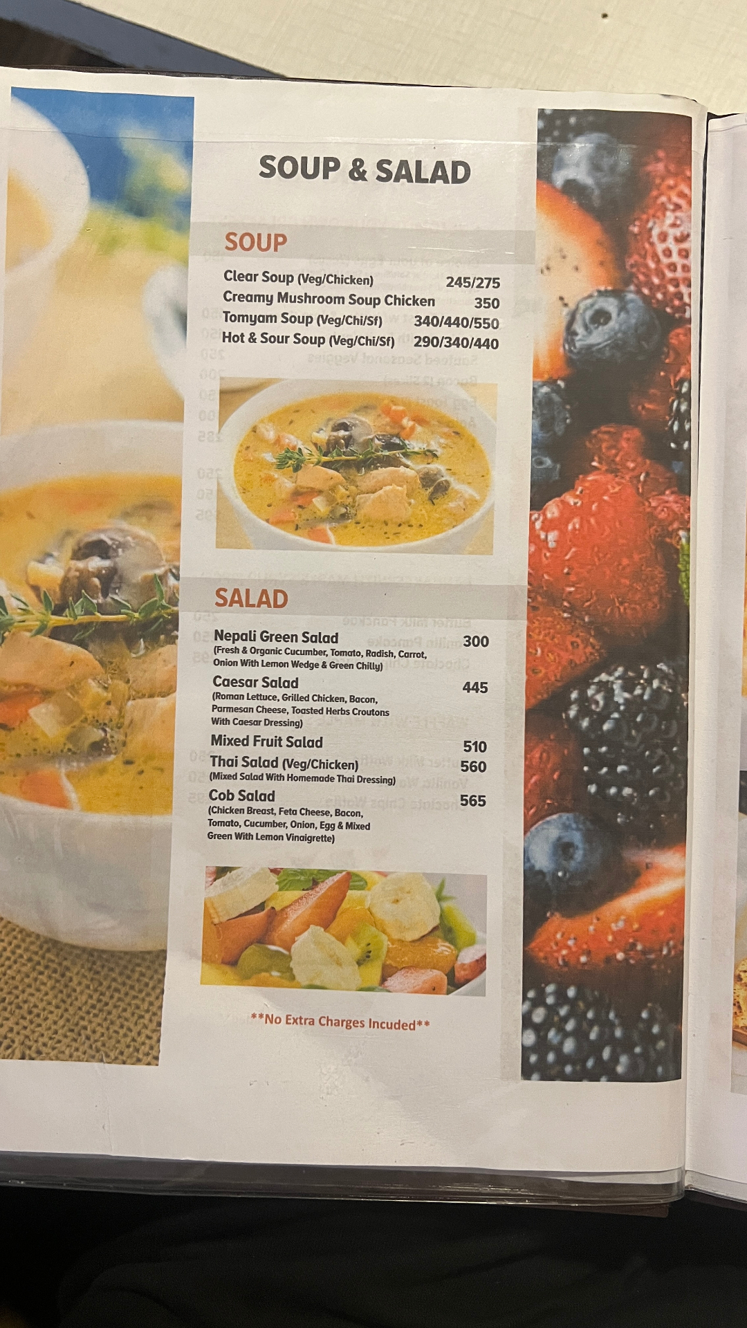 Paradise Garden Restaurant_menu_11