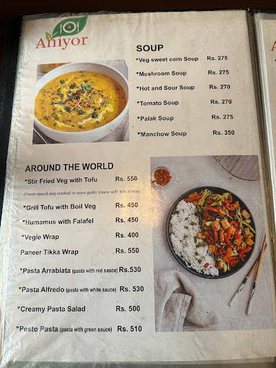 ANIYOR VEG & VEGAN RESTAURANT_menu_7