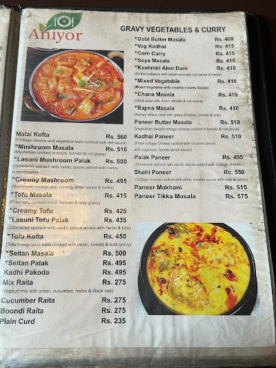 ANIYOR VEG & VEGAN RESTAURANT_menu_12