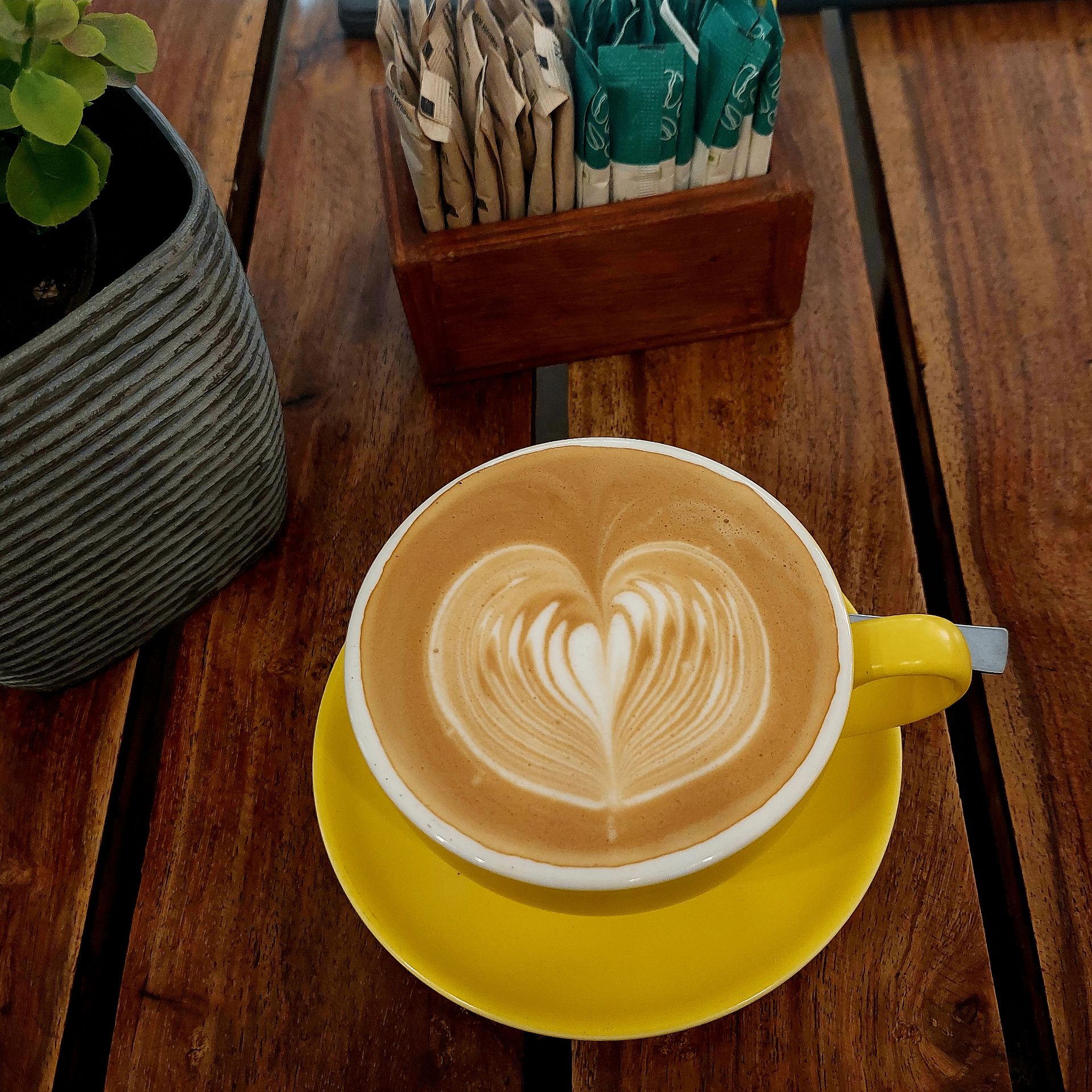 Himalayan Java Coffee - Mandala Street image 4