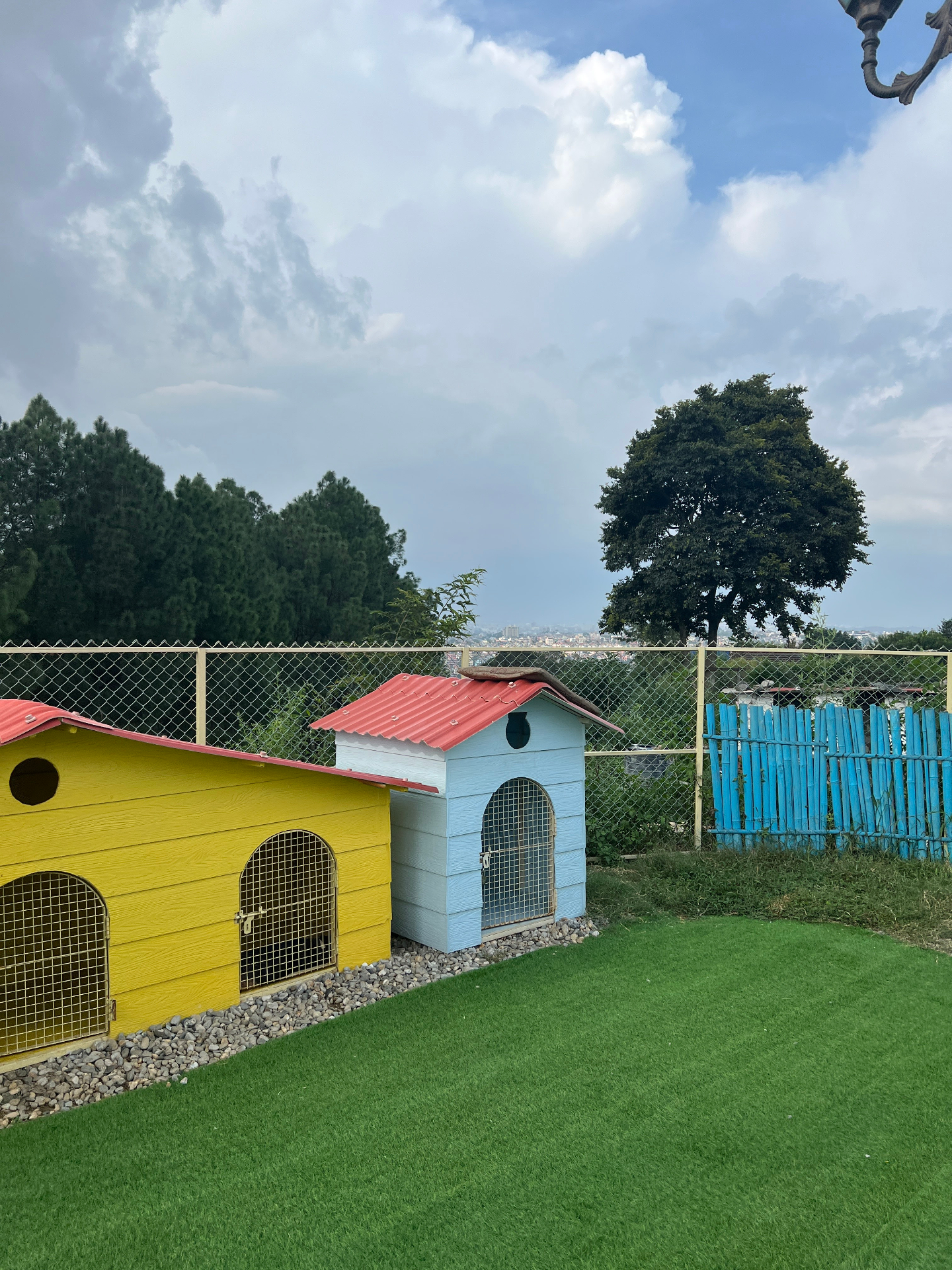 Wags N. Tails Cafe and Restaurant image 2