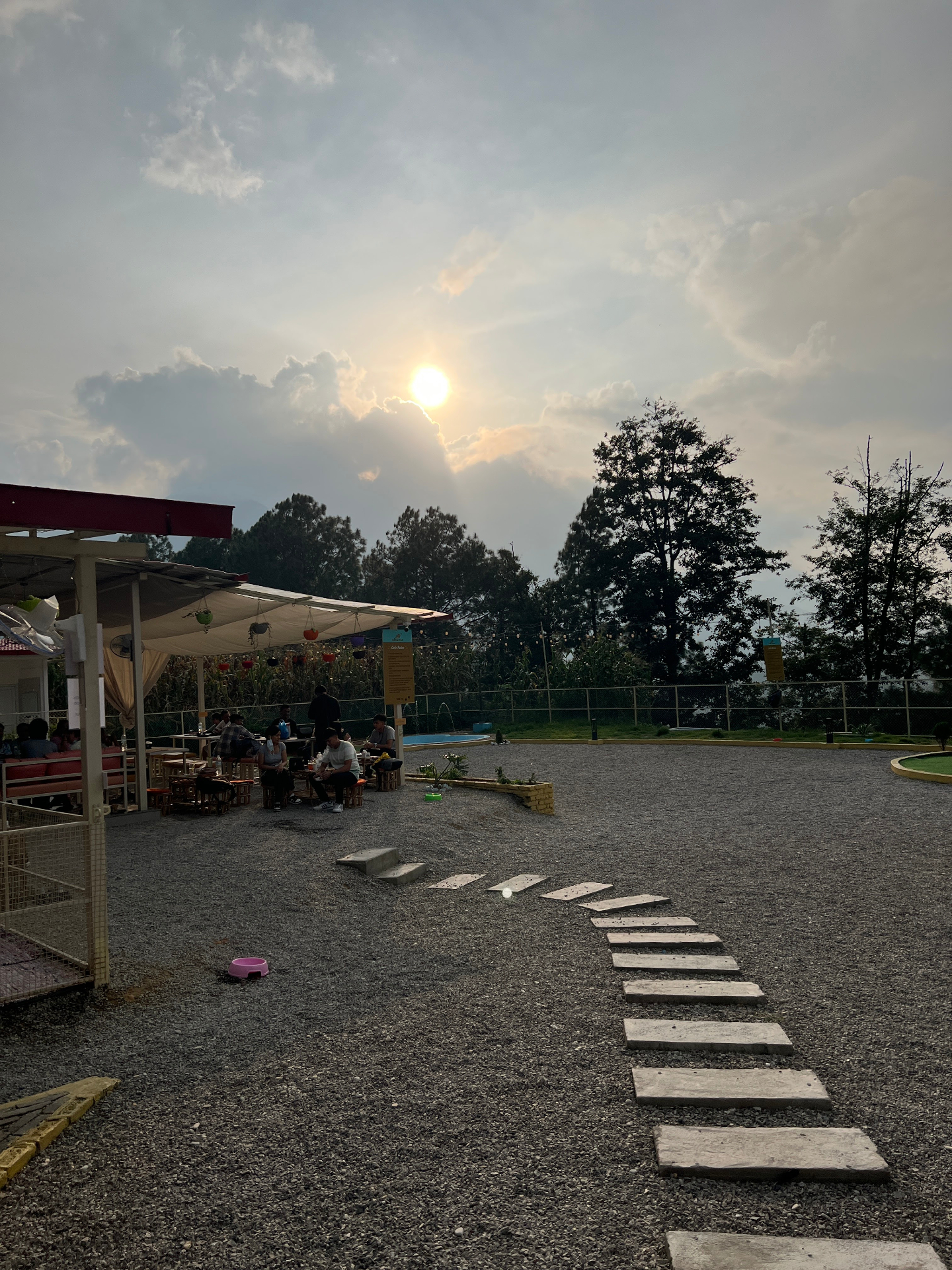 Wags N. Tails Cafe and Restaurant image 1