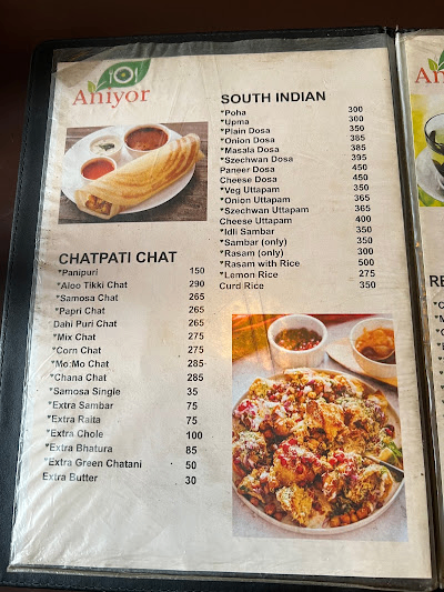 ANIYOR VEG & VEGAN RESTAURANT_menu_14