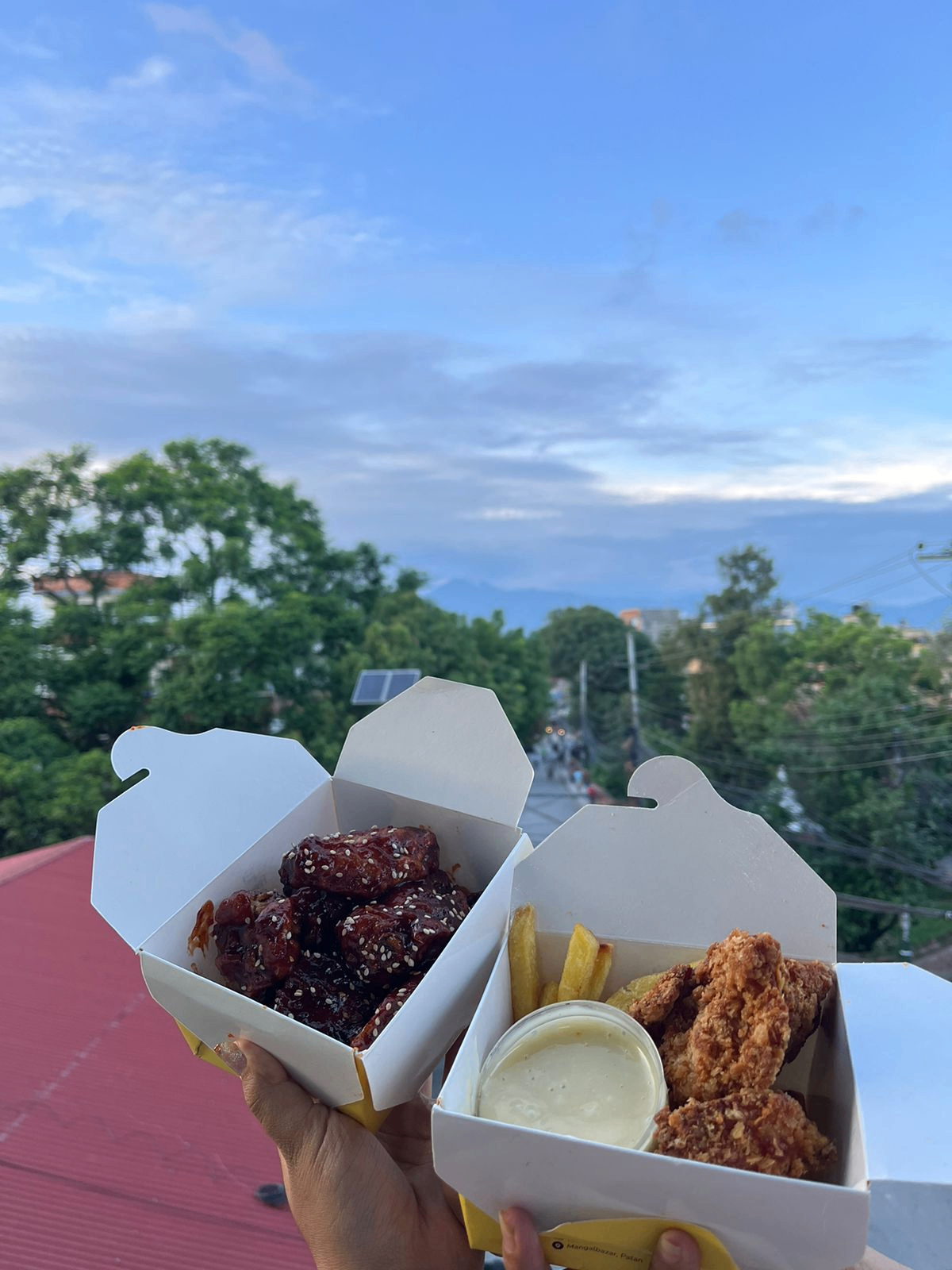 Frenzie Fries image 4