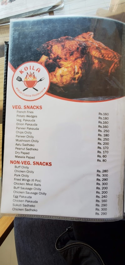 Koila Multi Cuisine Restaurant_menu_19